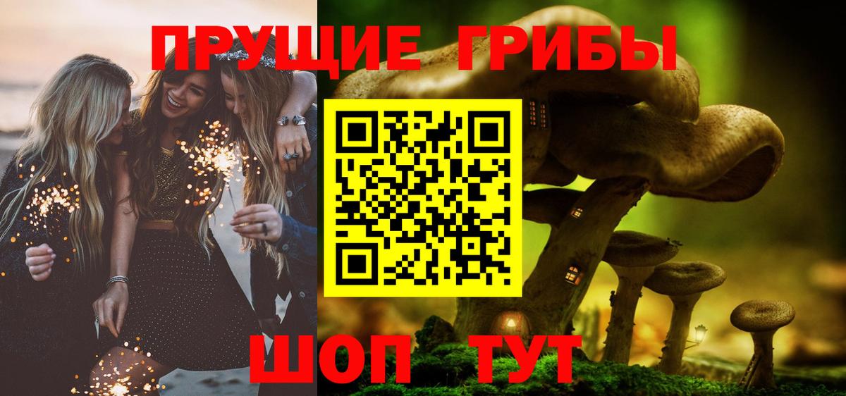 Братск  Псилоцибиновые грибы мухоморы  Псилоцибиновые грибы Cubensis  наркошоп  Вход с VPN 