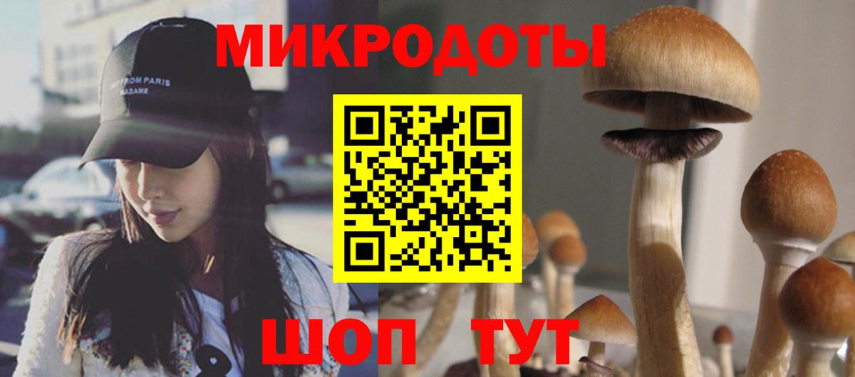 Псилоцибиновые грибы прущие грибы Братск